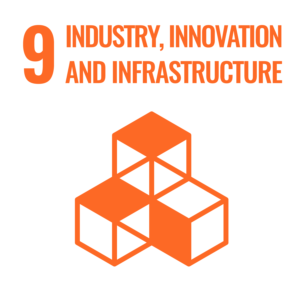 Orange cubes graphic and text reading "9 Industry, Innovation and Infrastructure.