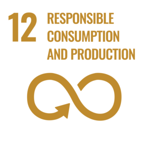 Orange graphic showing a number 12 and an infinity symbol with an arrow. Text reads "Responsible Consumption and Production.