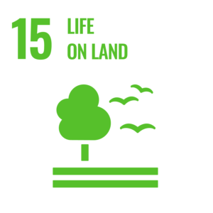 Icon for Sustainable Development Goal 15: Life on Land. Features a green tree and birds above lines representing land.