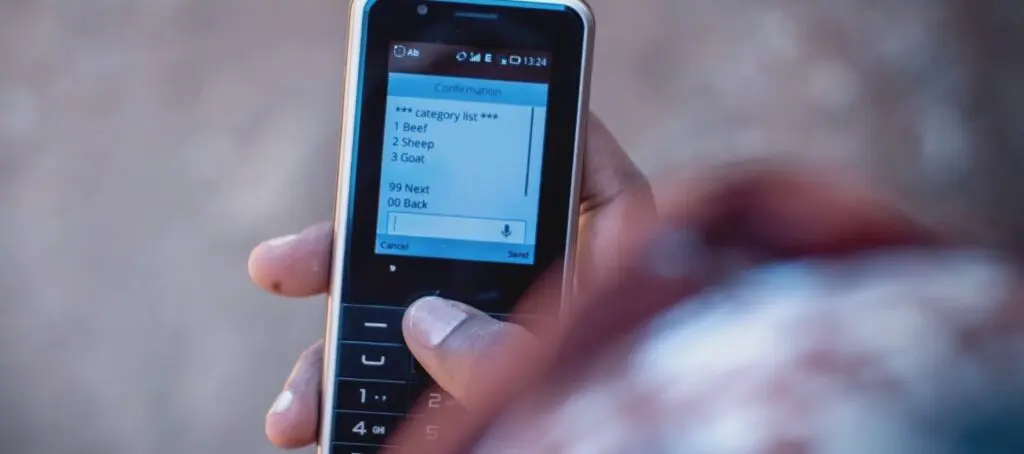 A person in Botswana holds a mobile phone displaying a menu powered by agritech, featuring options for beef, sheep, and goat.