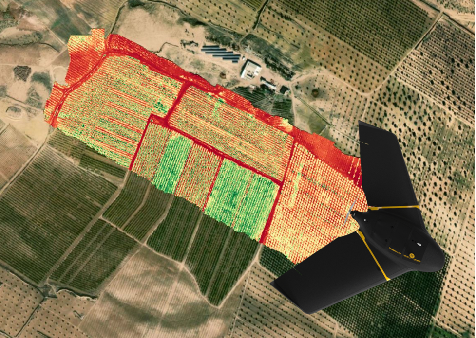 A drone equipped with advanced agritech hovers over agricultural fields, using hyperspectral cameras to display a thermal imaging overlay that reveals varying crop conditions in vivid green and red.