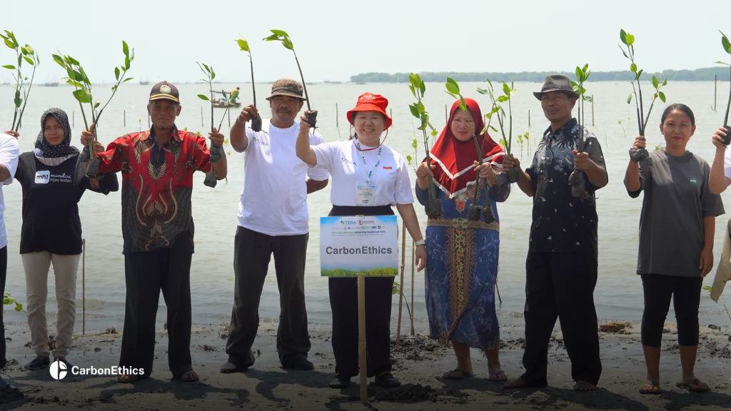 A group of people holding young plants stands on a beach in Indonesia, with the serene water behind them and a sign that reads "CarbonEthics." Their commitment to restoring mangroves is evident in this picturesque scene.